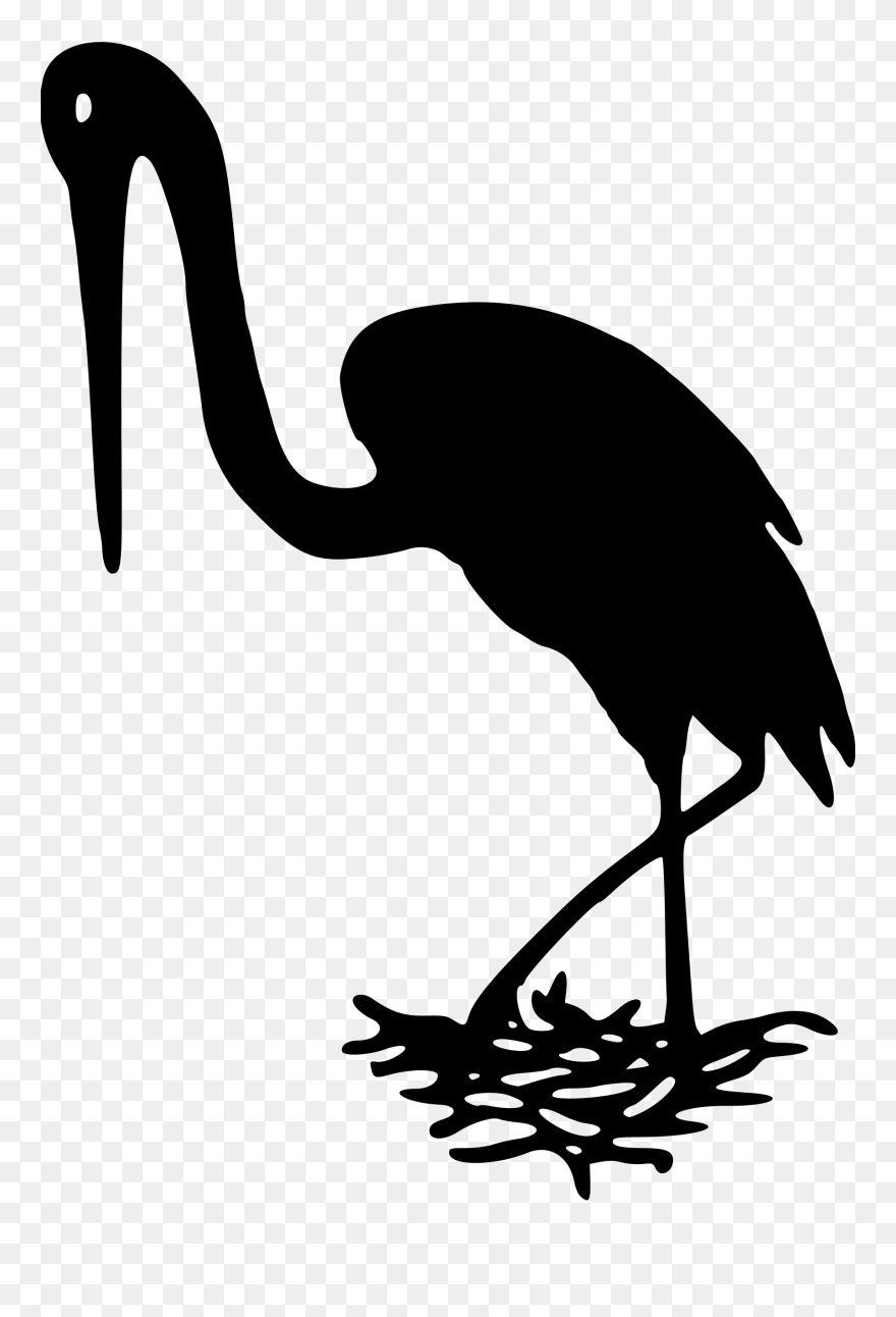 Crane Bird White Stork Beak Pelican - Clip Art - Png Download