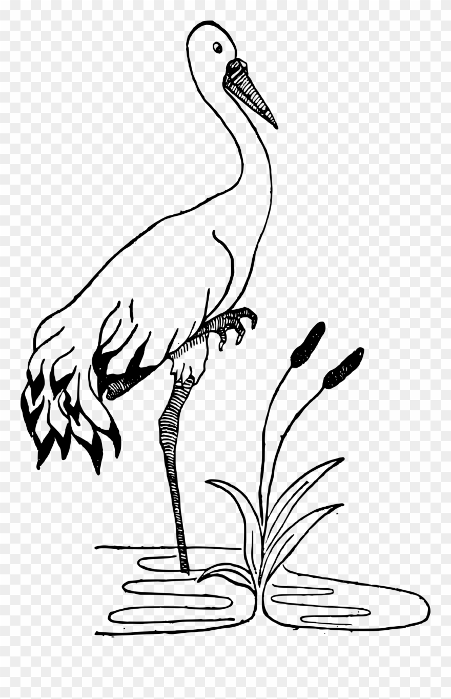 Crane In A Pond Clipart