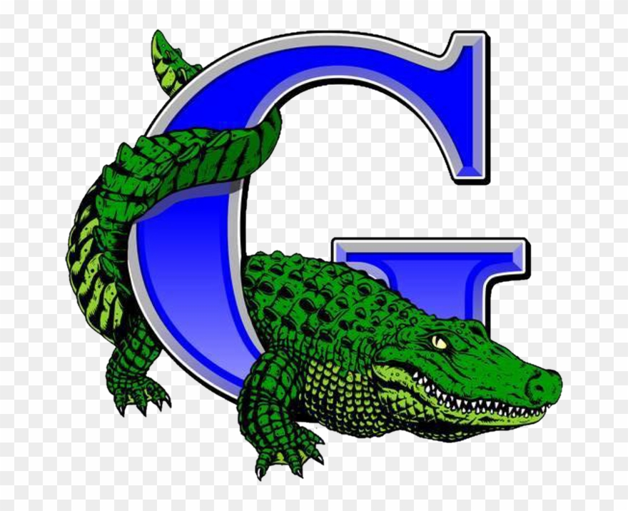 Volleyball Clipart Gator - Grulla High School Gators - Png Download