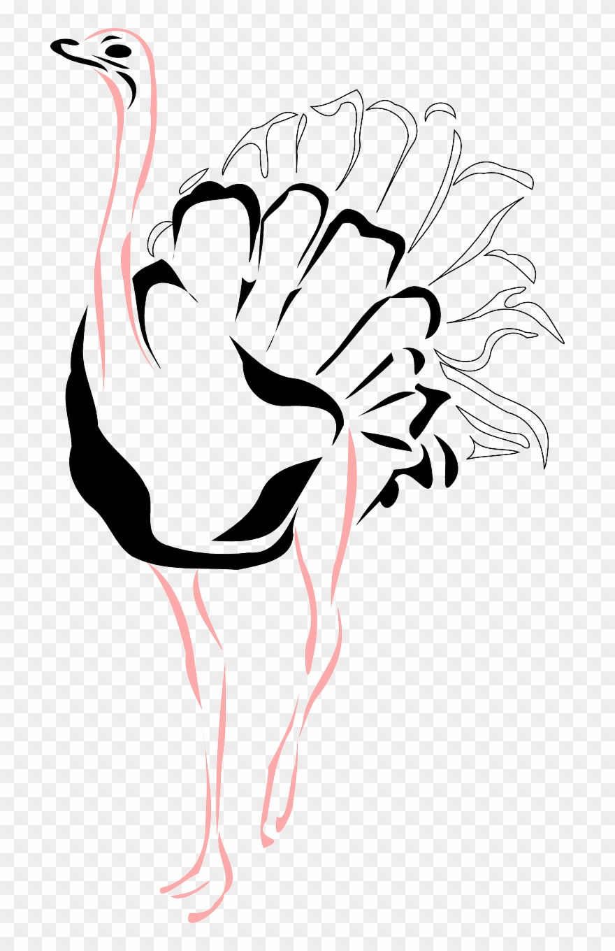 Rzędziwojowice Free Ostrich - Ostrich Stencil Clipart