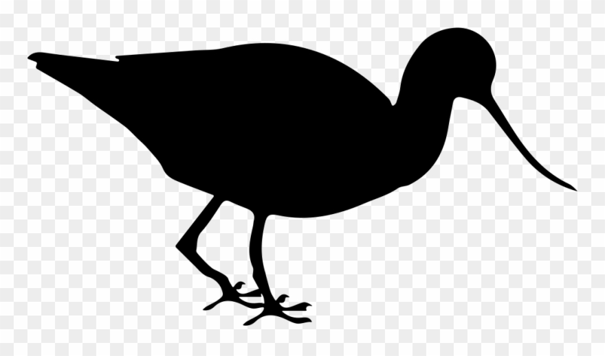 Banner Royalty Free Download Birds Svg Downloadable - Longirostravis Clipart