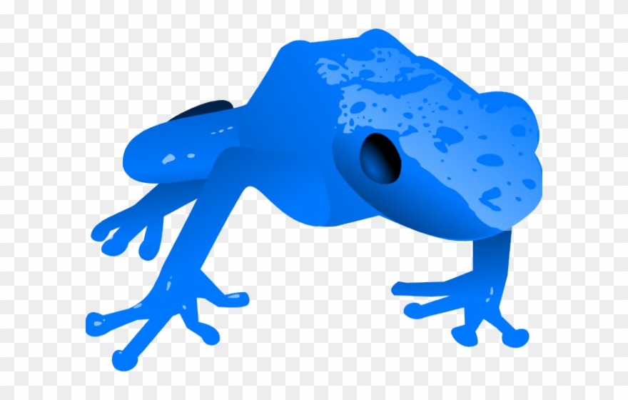 Poison Dart Frog Clipart Yellow Frog - Png Download