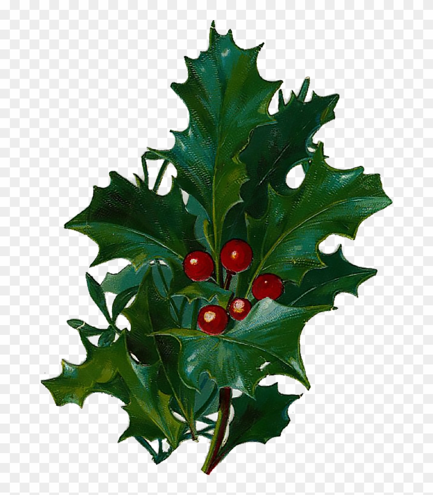 Vintage Victorian Christmas Die Cut Clip Art Days Nine, - Cafepress Christmas Holly 2 84" Curtains - Png Download