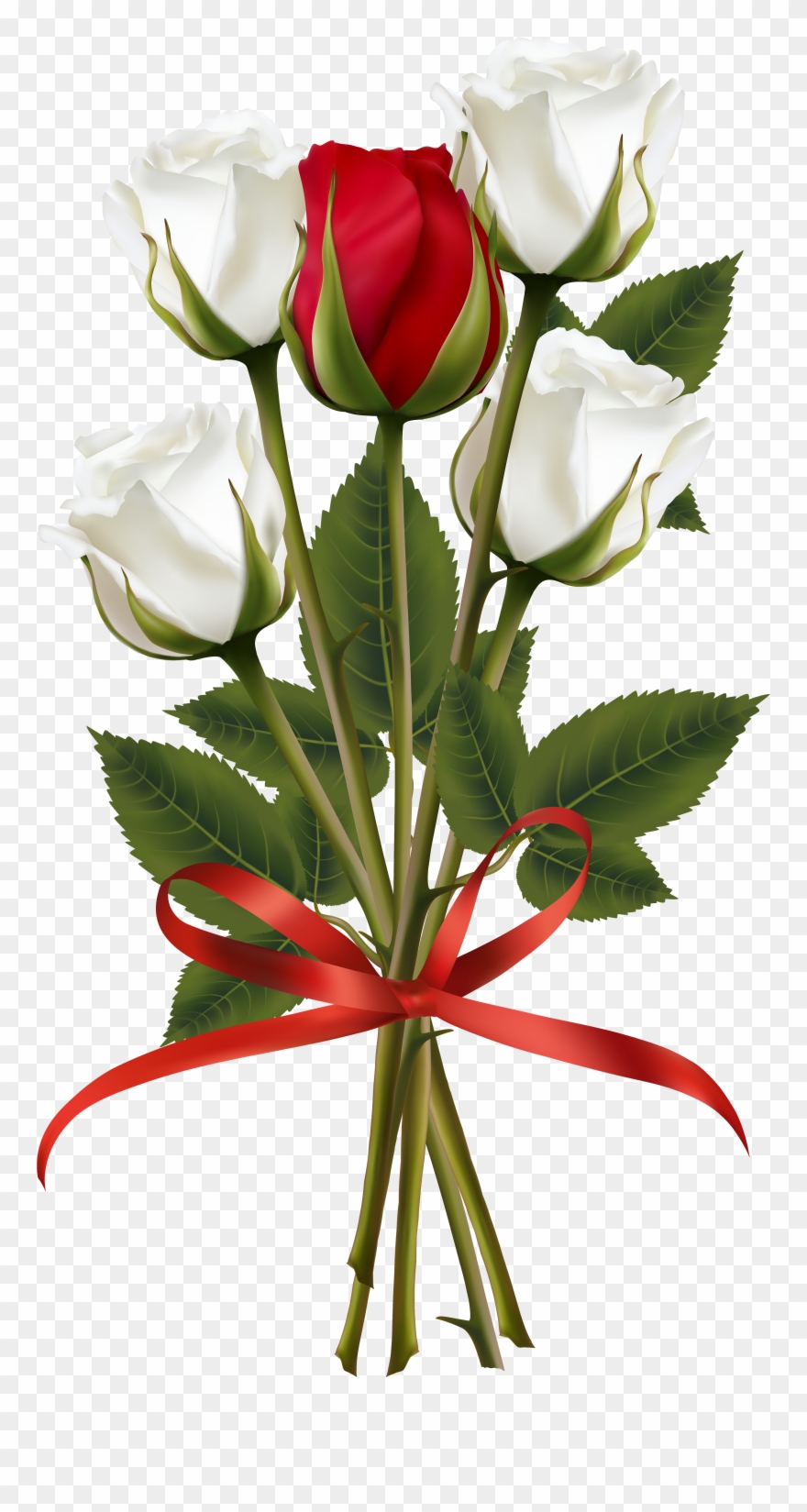 Red And White Rose Clipart - Png Download
