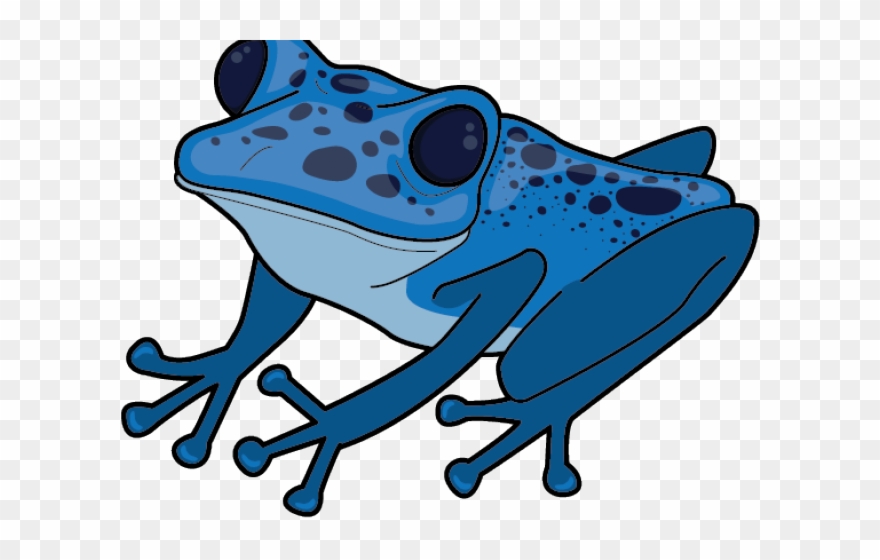 Blue Poison Dart Frog Clipart - Png Download