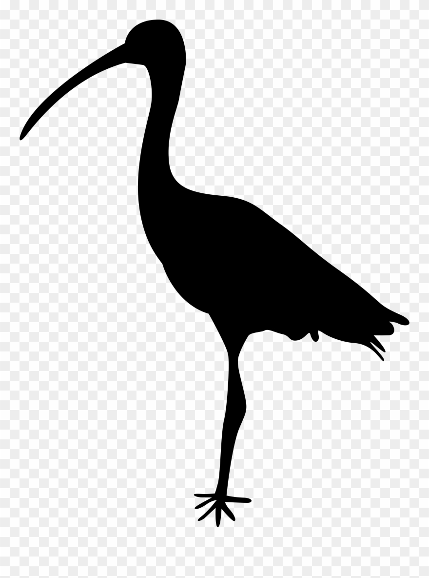5b727ba9387fc2 Crane Clipart Heron - Png Download