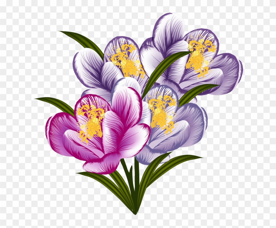 Album - Designart - Vector Purple Flowers - Floral Art Canvas Clipart