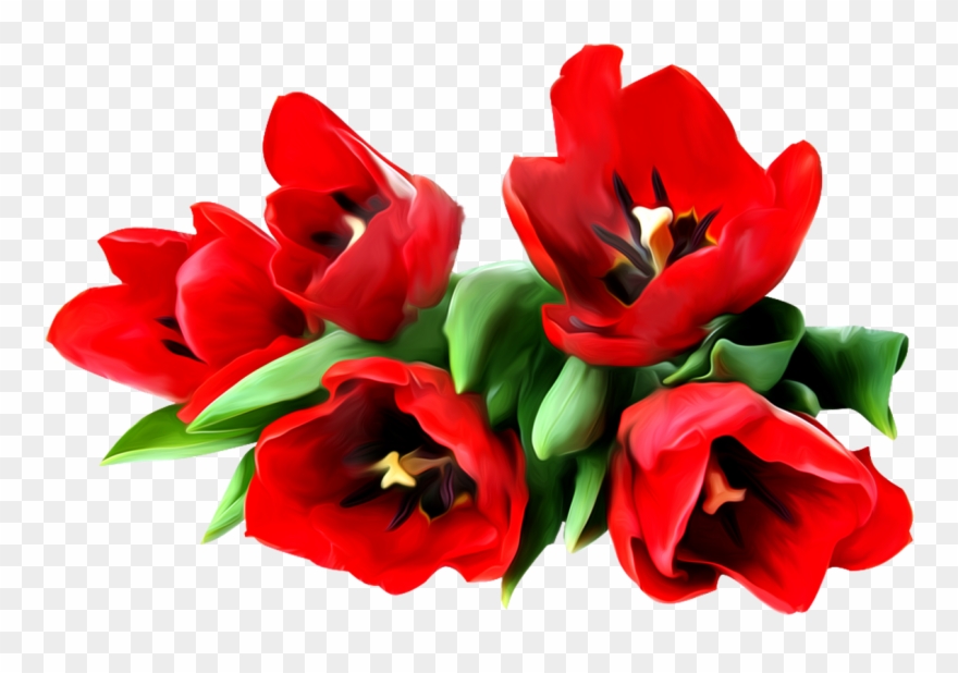 Flower Bouquet Sticker Stock Photography Clip Art - Good Morning God Bless Everyone's Day - Png Download