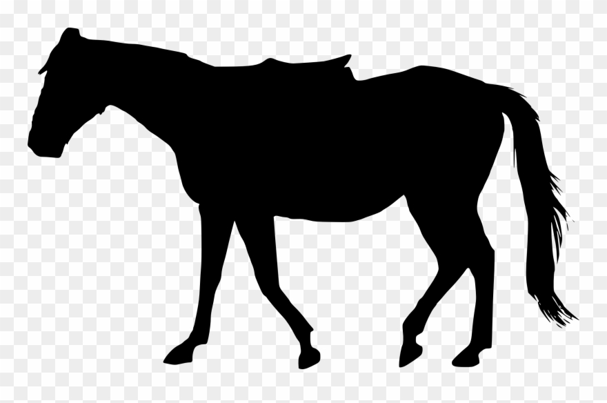 5 Horse Silhouette - Horse Silhouette Transparent Background Clipart