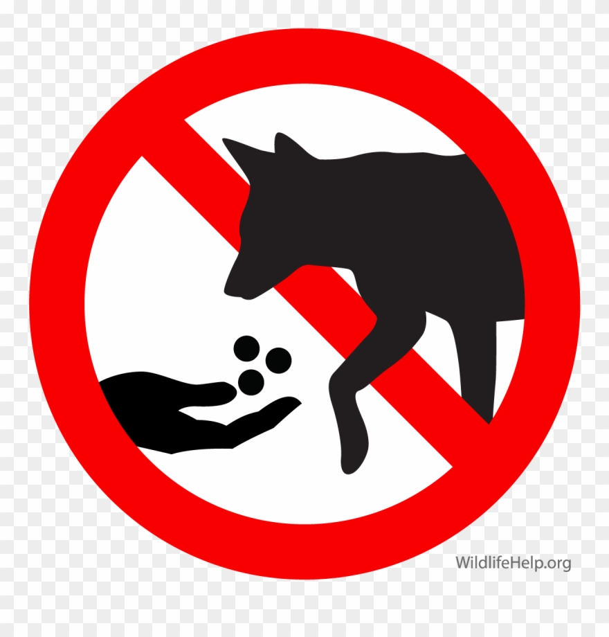Do Not Feed Dog Clipart Coyote German Shepherd Puppy - Do Not Feed The Dog Sign - Png Download