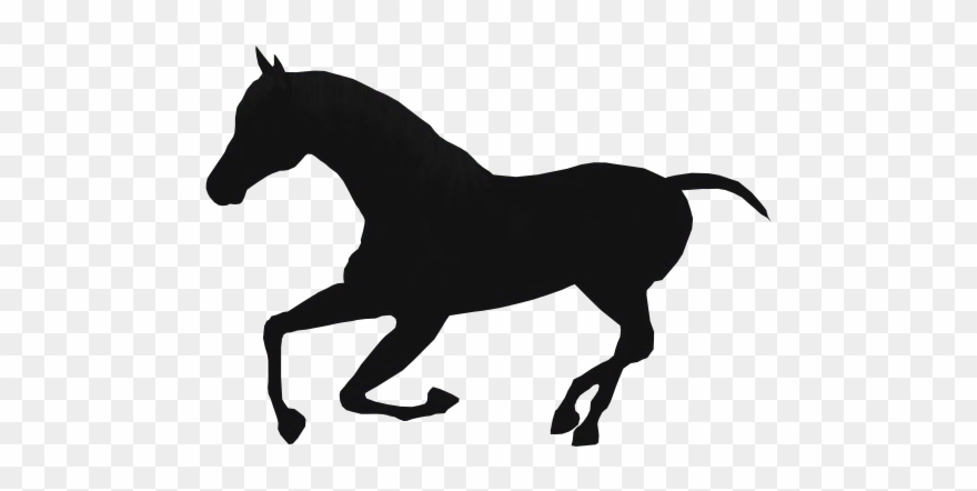 Horse Clipart