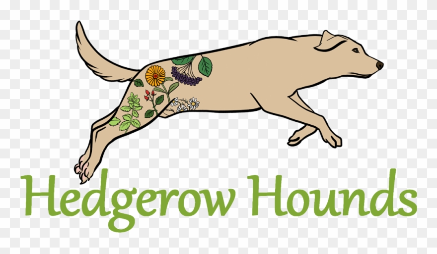 Dog Clipart