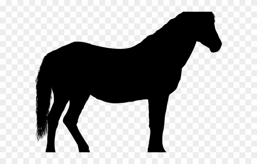 Horse Clipart Transportation - Horse Silhouette - Png Download