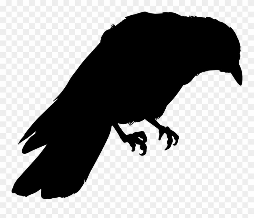Crow Silhouette Clipart Bird Clip Art - Cuervos Dibujo - Png Download