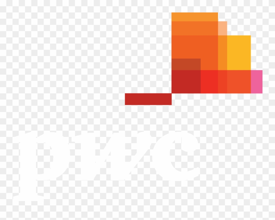 Pwc Pwc Toolbelt Ball - Pwc Logo Png White Clipart