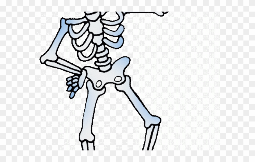 Bones Clipart Bone Health - Skeletal System Support - Png Download