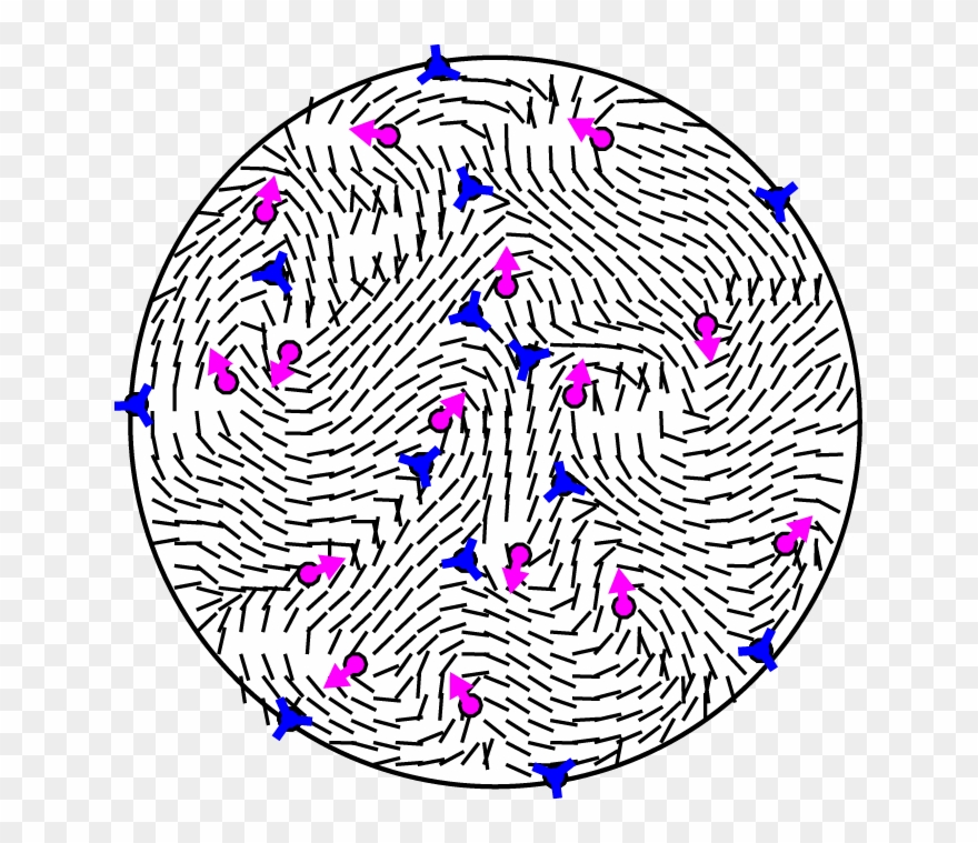 Circle Clipart