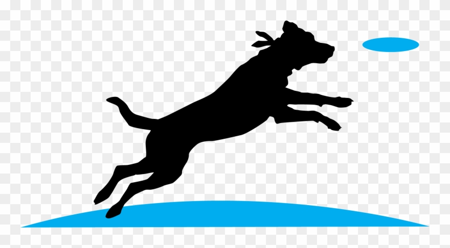 Gif Dog Backpack Running - Jumping Dog Clip Art - Png Download