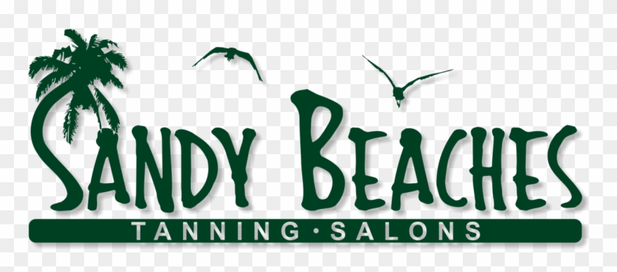 Next Website & Graphic Design - Seabird Clipart