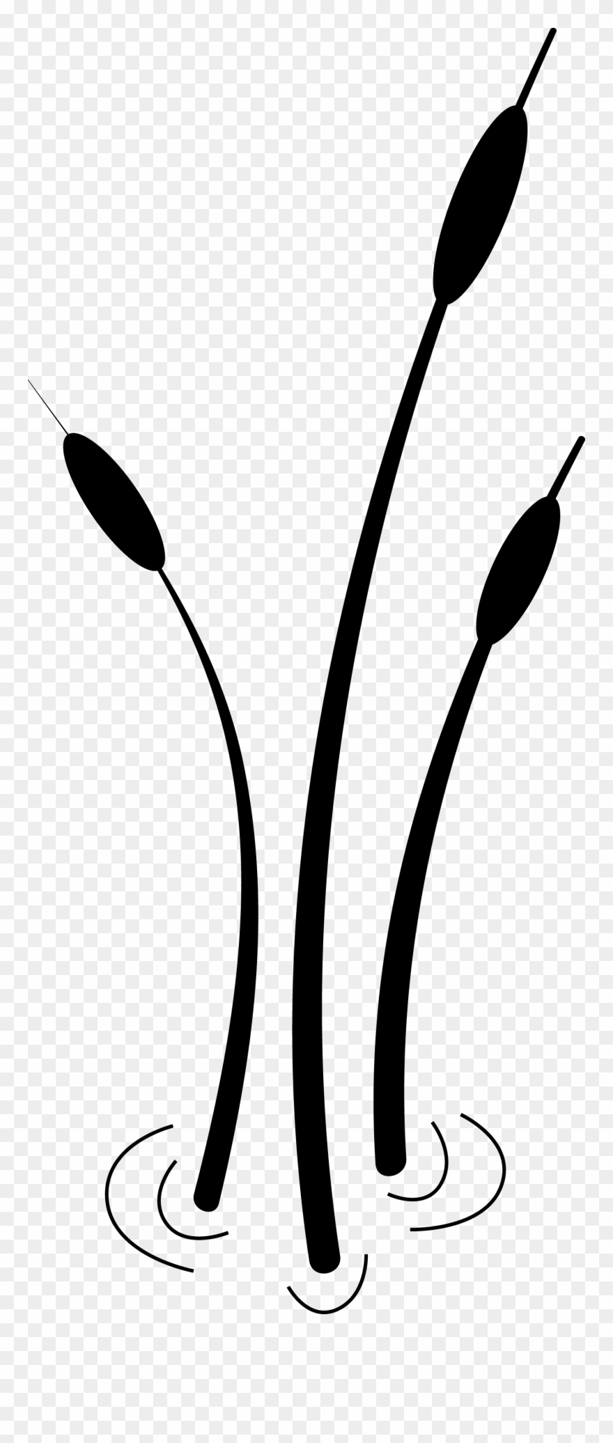 2012spmc Cattails Bl - Cattails Black And White Clipart - Png Download