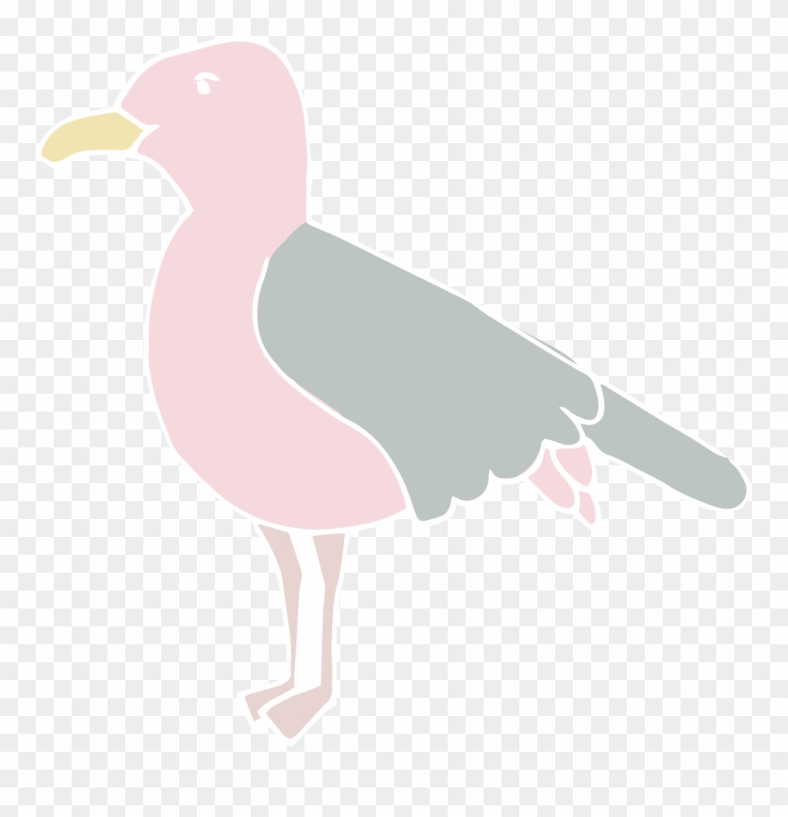Western Gull Clipart