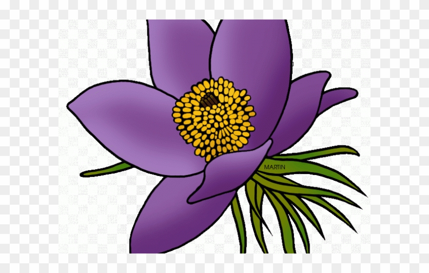 Svg Royalty Free Library Free On Dumielauxepices Net - South Dakota State Flower Clipart