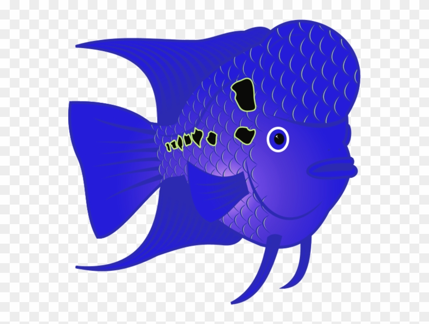 Flower Horn Clipart Flower Horn Clip Art - Fish Clip Art - Png Download