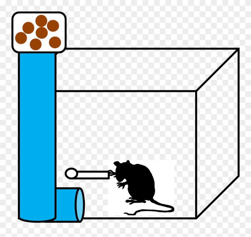 Skinners Box - Skinner Box Transparent Background Clipart