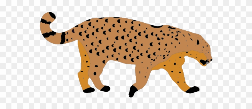 Snow Leopard Clipart Clip Art - Lion - Png Download