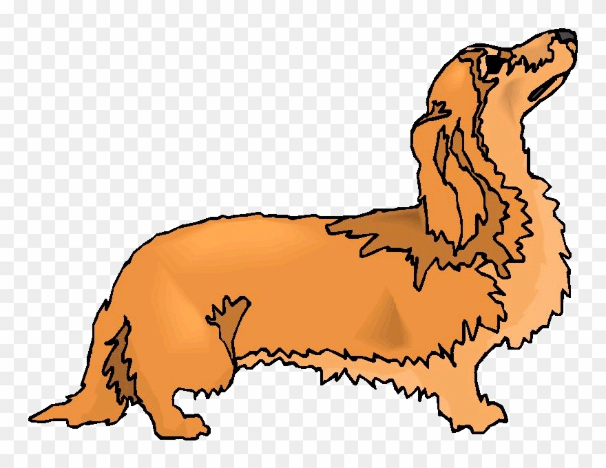 Clip Arts Related To - Longhaired Dachshund Throw Blanket - Png Download