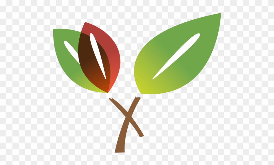 Speakers Clipart Good News - News 12 Networks - Png Download