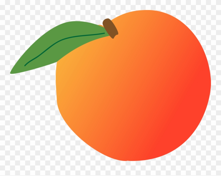 'call Me By Your Name' Has Beauty In Its Details Clipart