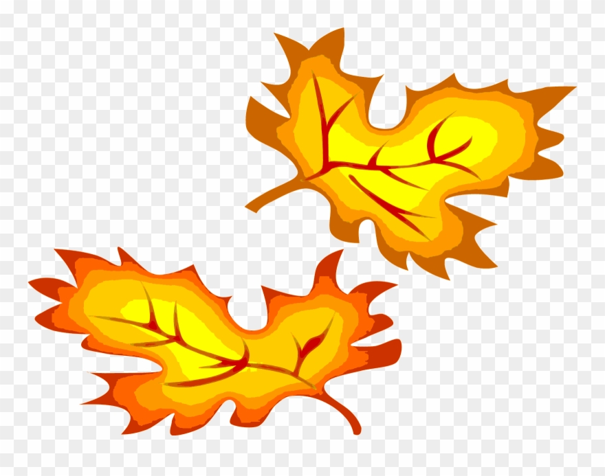 New Creation United Church Of Christ - Fall Leaves Clip Art - Png Download
