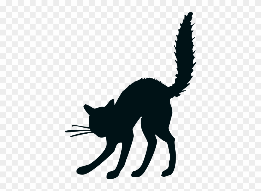 Chat Noir Png 600 600 Cattoos Pinterest - Halloween Black Cat Drawing Clipart