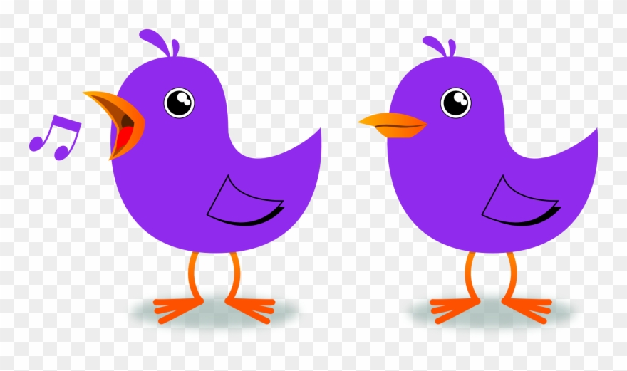 Clip Art Coloring Book Colouring Page Sheet - Bird Sound Clip Art - Png Download