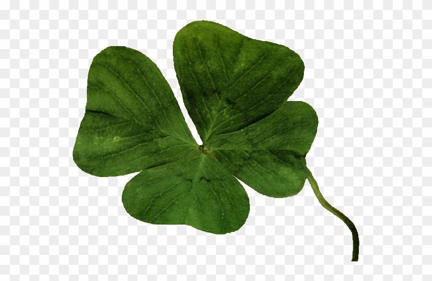 After All I´ll Start A New Fulltime Job In Monday - University Hospital Of Giessen And Marburg Clipart