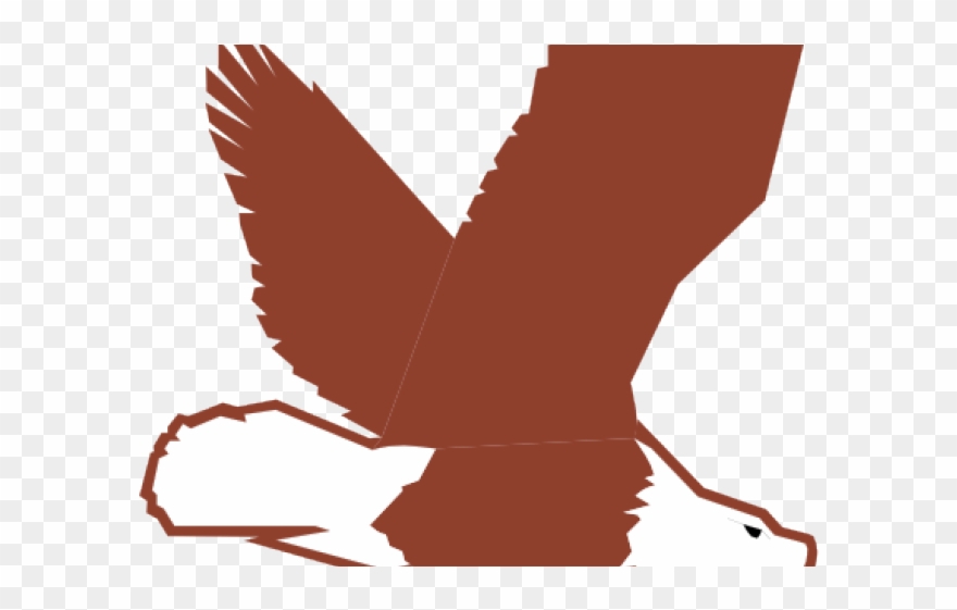 Bald Eagle Clipart Small Cartoon - Clip Art - Png Download