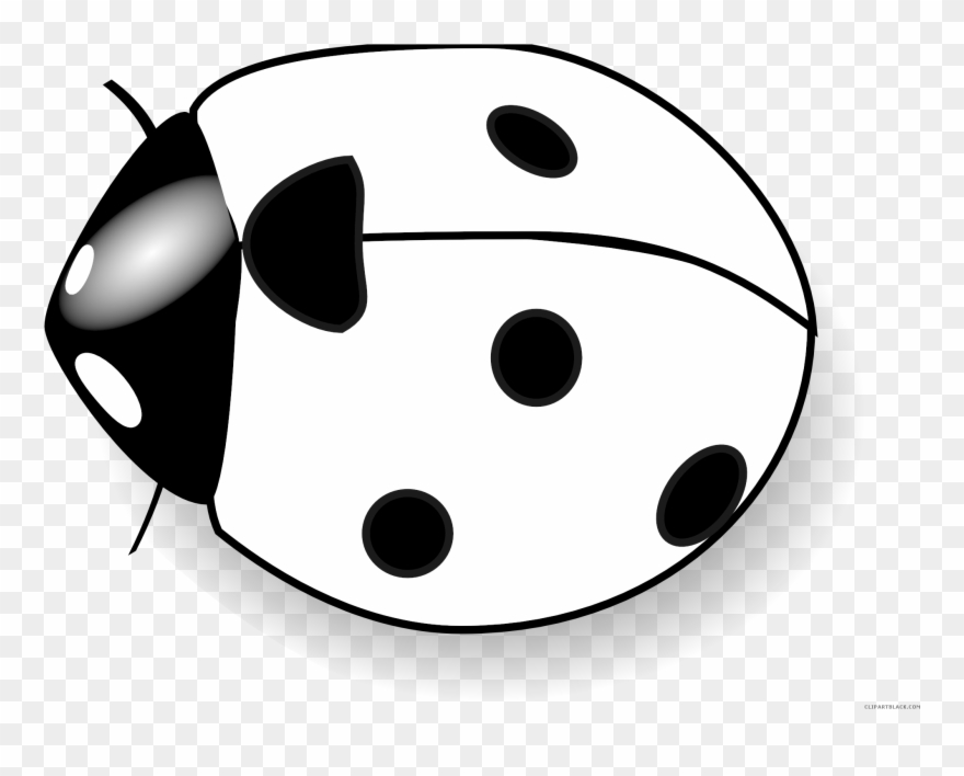 Graphic Black And White Library Clipartblack Com Animal - Blue And White Ladybug - Png Download