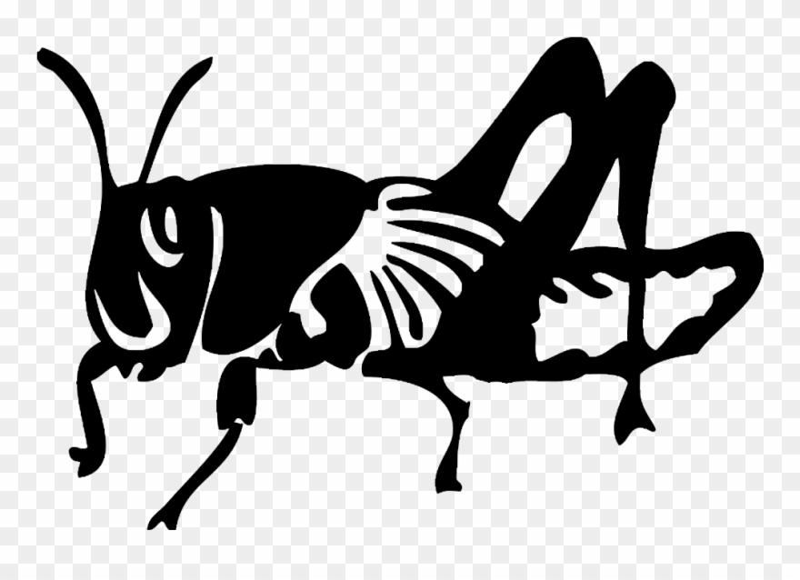 Locust Drawing Black And White - Locust Black And White Clipart