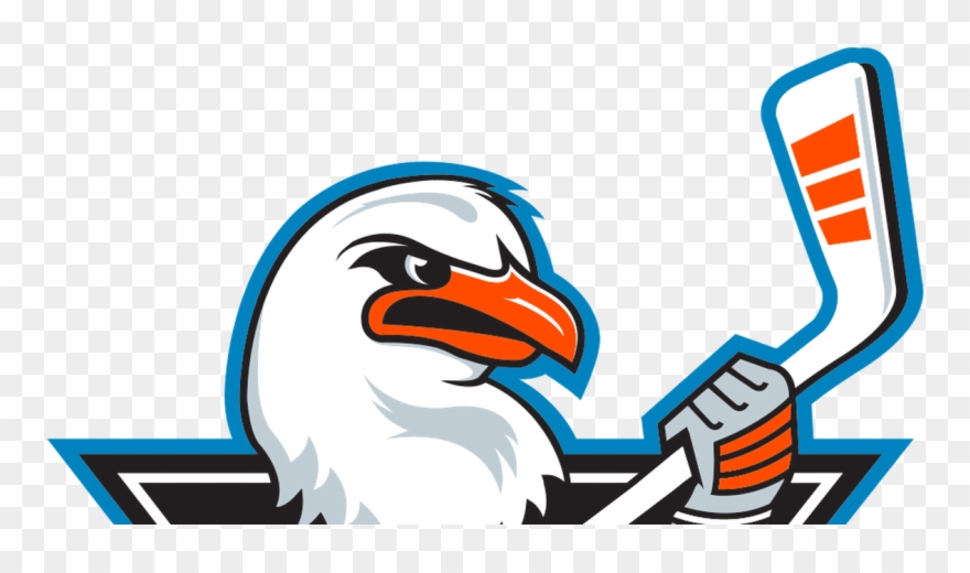 San Diego Gulls Png Clipart