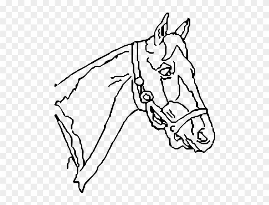 5810f59a7b2e290 2 , 2016 10 26 - Line Art Clipart