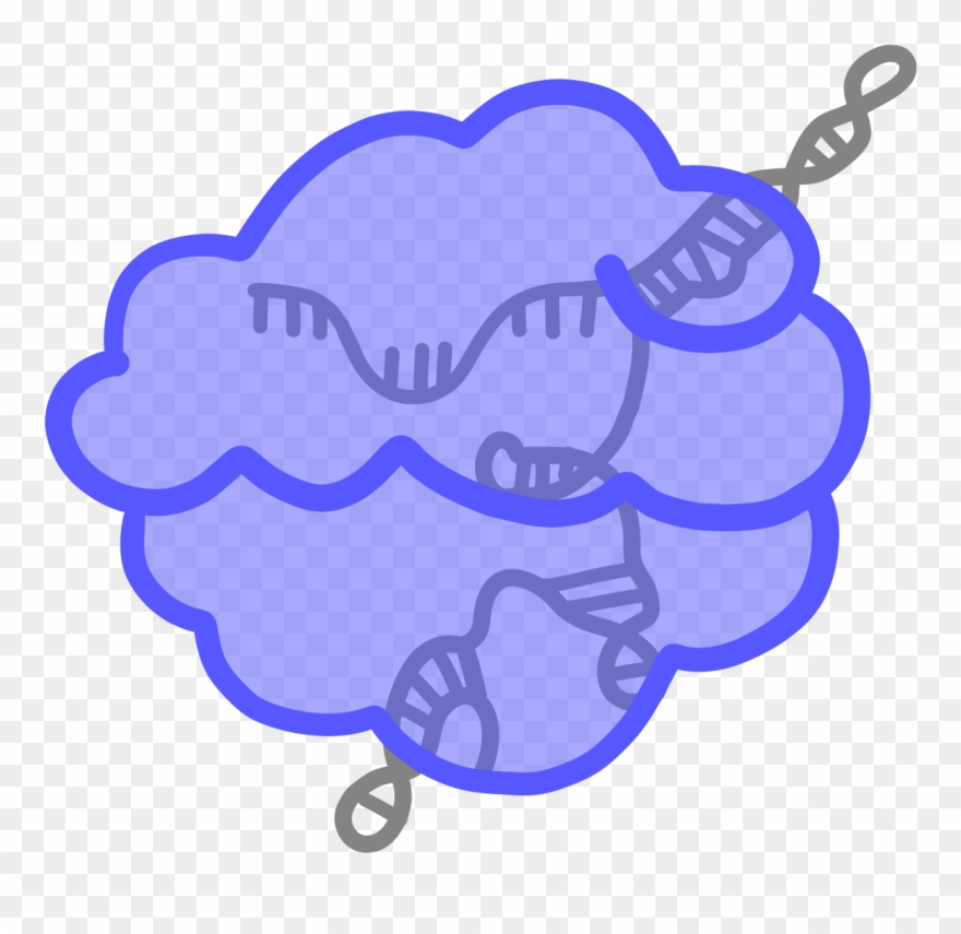 A Protein Derived From The Crispr Cas Bacterial Immune Clipart