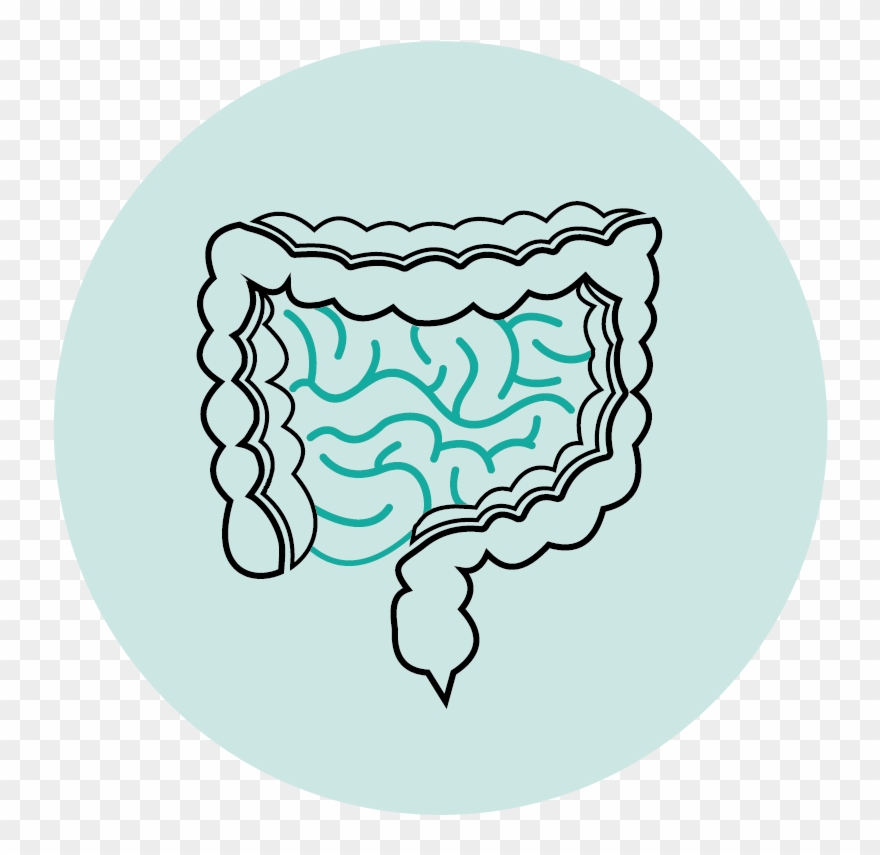 Digestive Problems - Vector Graphics Clipart