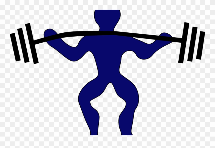 Legal Steroids- Top Brands - Camisas No Pain No Gain Clipart