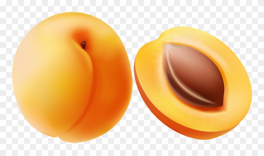 Clip Art Image Of Apricot - Png Download