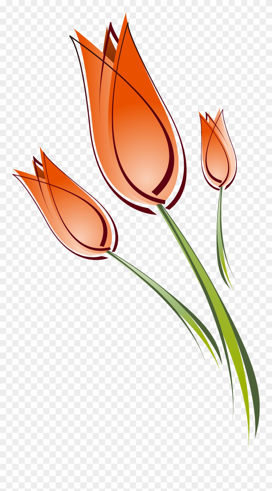 Tulip Clip Art Transprent Png Free - Tulip Drawing Transparent Png