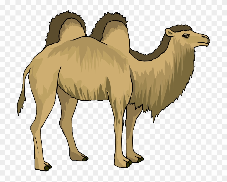 Free Camel Clipart - Two Hump Camel Clip Art - Png Download