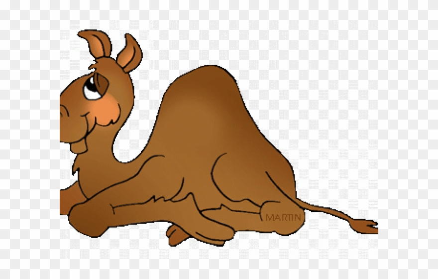 Camels Clipart Sad - Camel - Png Download
