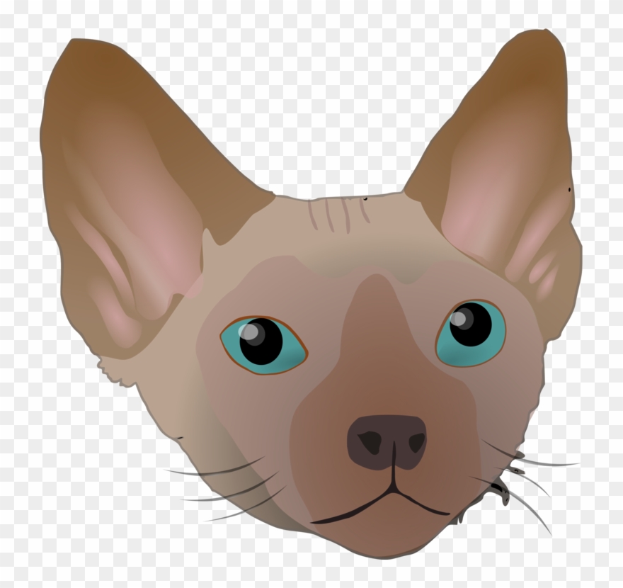 All Photo Png Clipart - Kucing Sphynx Vector Transparent Png