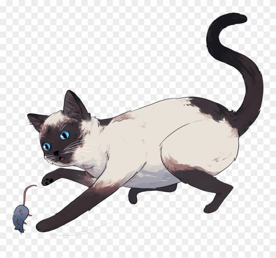 With An Oral Pill With Cats Giving Revolution Each - Siamese Clipart